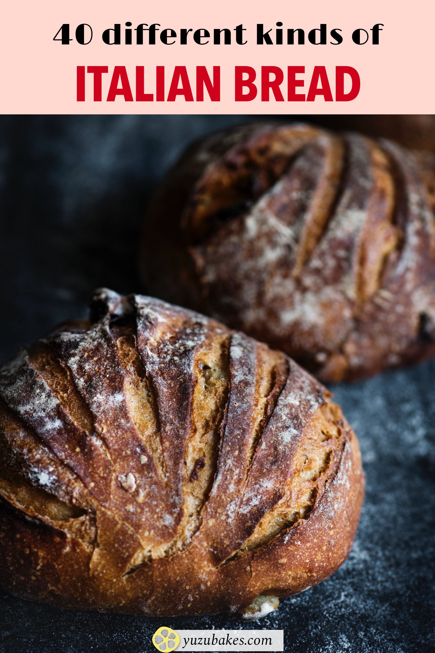 40 Different Types of Italian Bread Yuzu Bakes