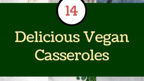 14 delicious vegan casserole dishes