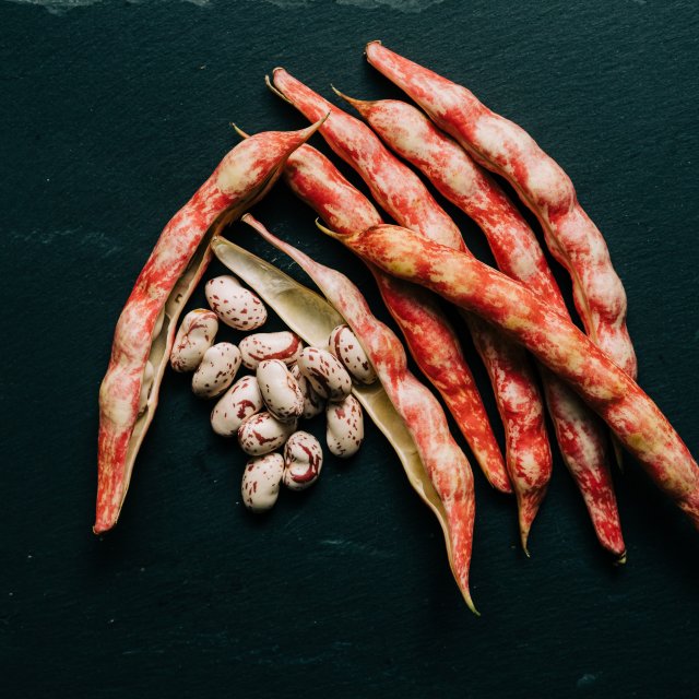 Cranberry beans instant pot time online