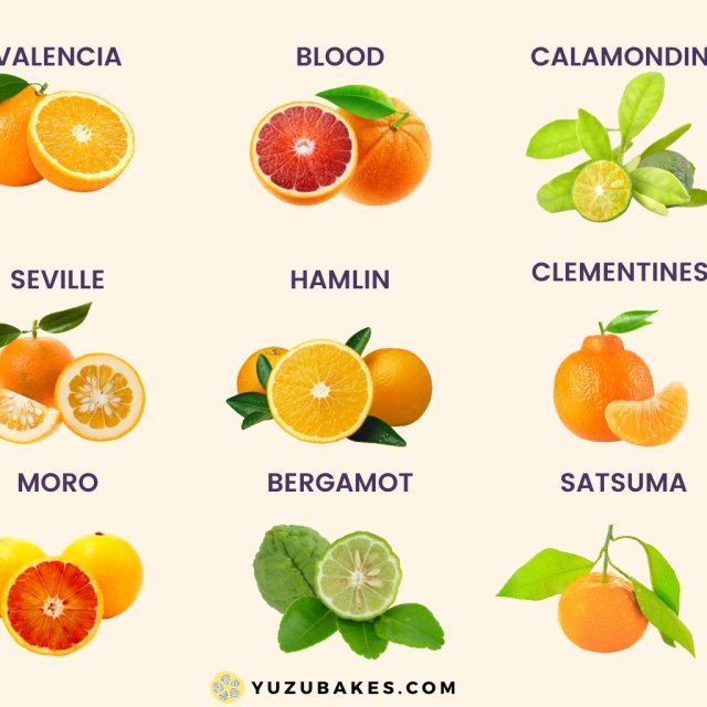 Orange fruit specification infoupdate